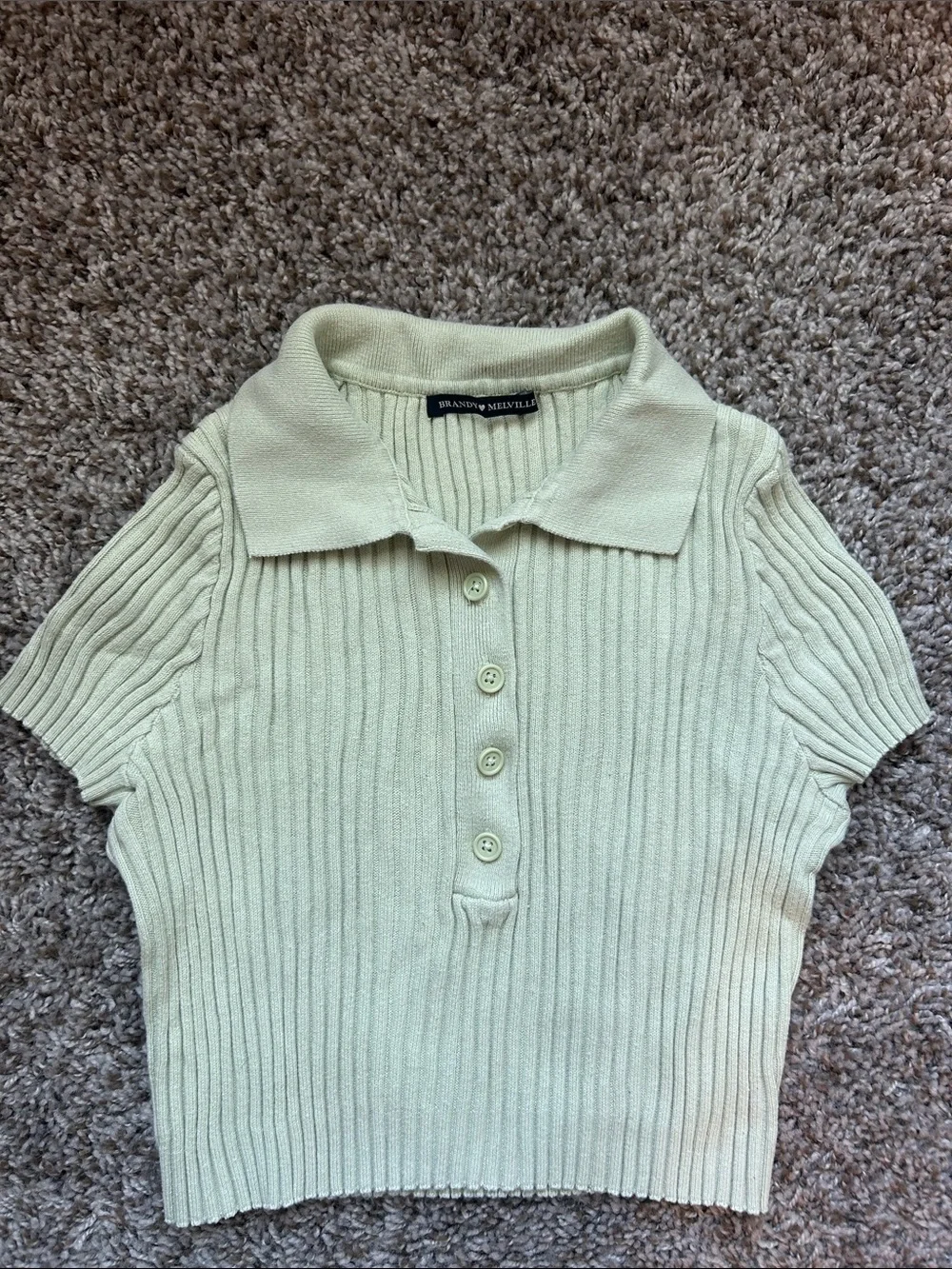 Brandy Melville Light Green Ribbed Polo Crop Sweater Top